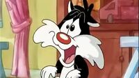 Baby Looney Tunes Bzgg9afonlsx_t