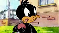 Baby Looney Tunes W750pb1pv6u3_t